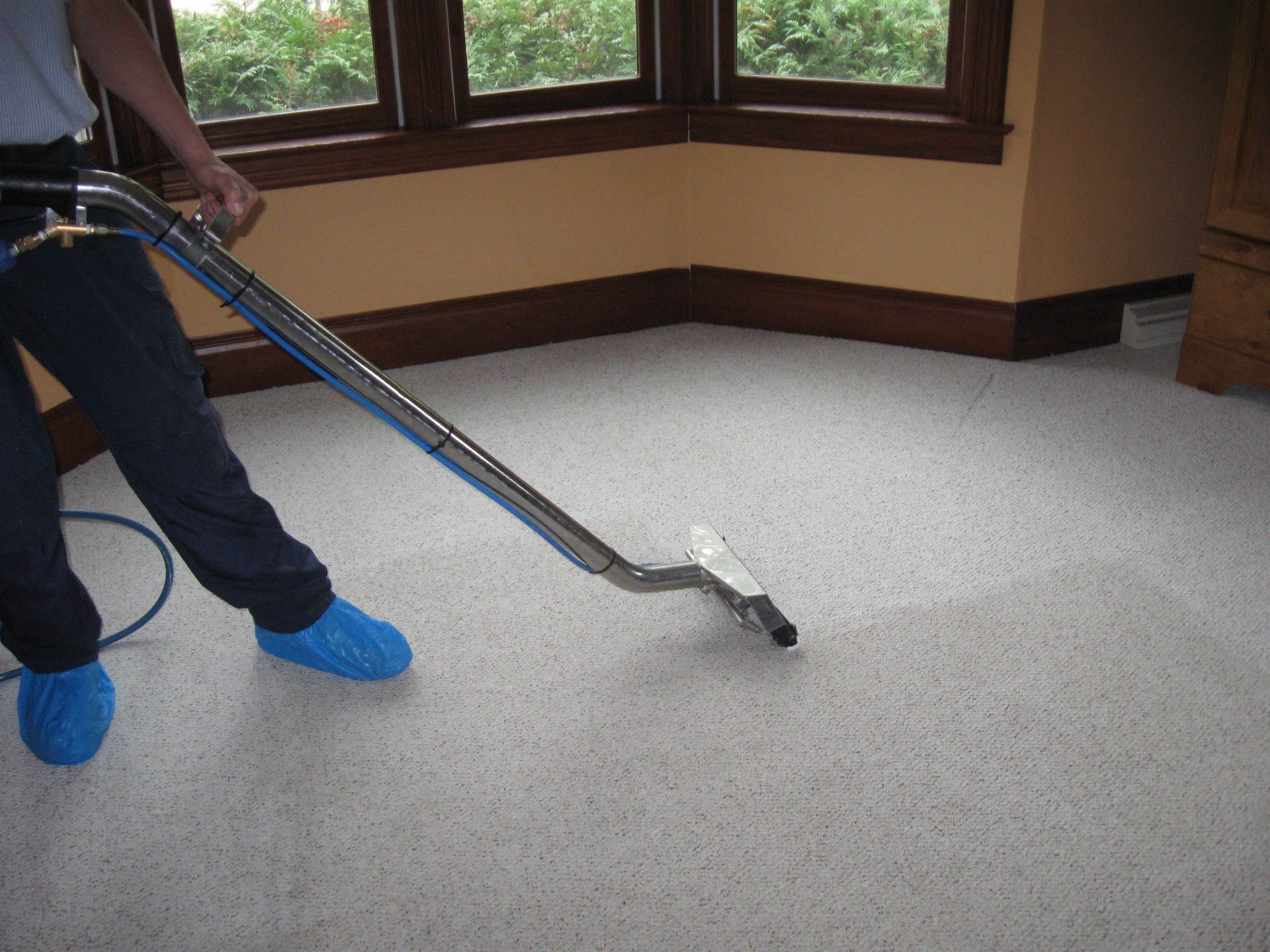 There are a number of options, including these: Cheltenham Carpet Cleaning cleans